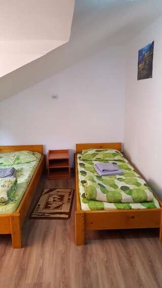 Лоджи Casa Borcean Саска-Монтанэ Двухместный номер с 1 кроватью или 2 отдельными кроватями и собственной ванной комнатой-1